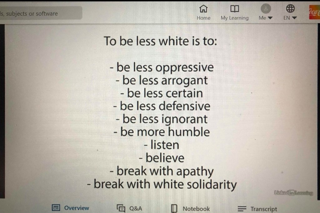 Coca-Cola Anti-Racism Training Screenshot